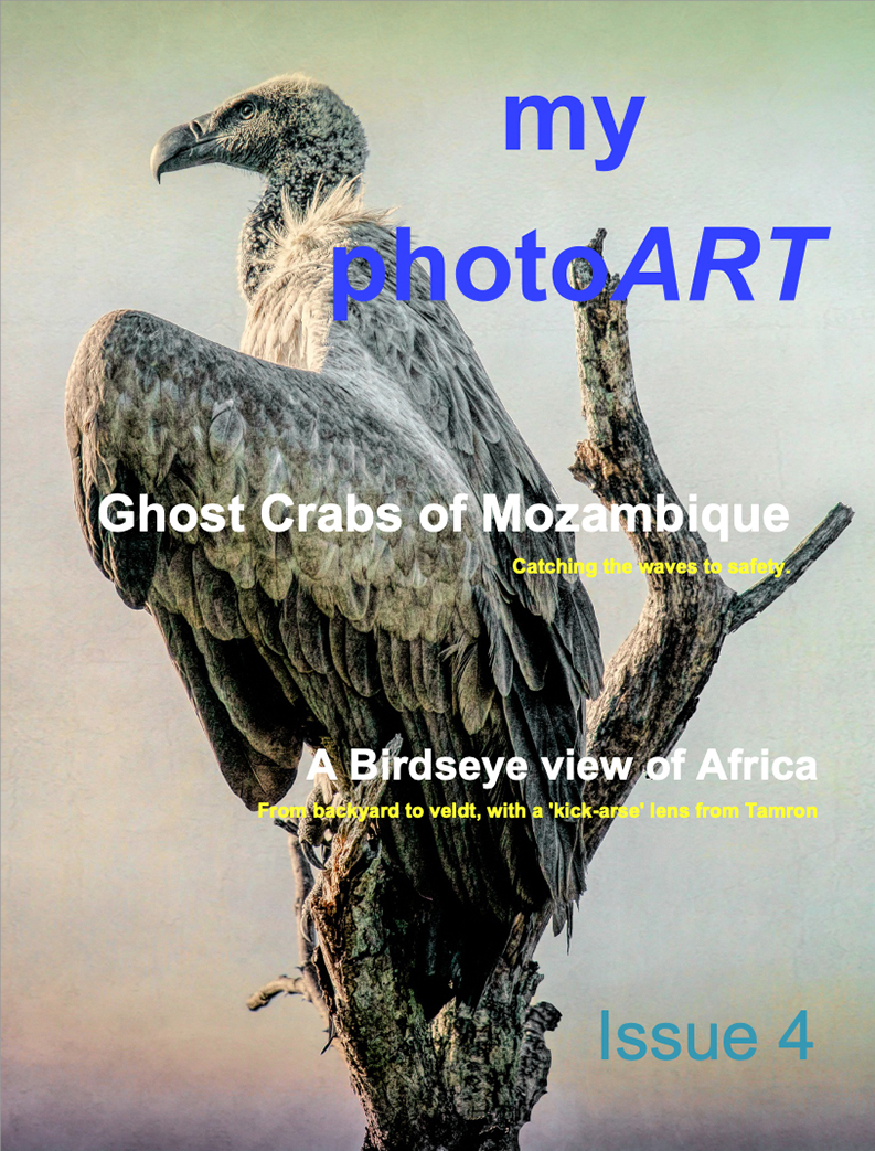 my photoART Magazine issue 4